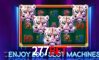 Apostas de Futebol 277bet